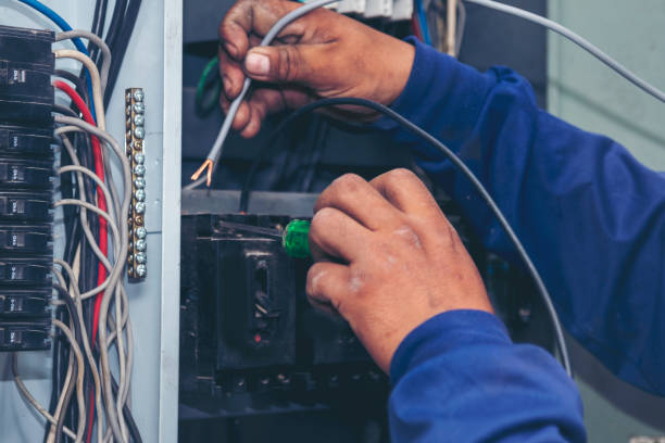 Best Electric Panel Repair  in Schler Park, IL