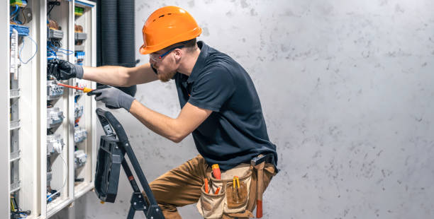 Best Electrical System Inspection  in Schler Park, IL